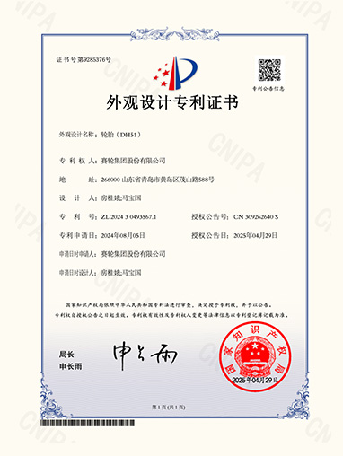 轮胎（DH51）